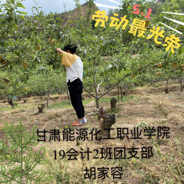 图片8.png 图片8.png